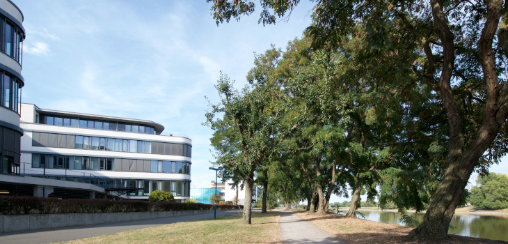 Elbe-Office am Wissenschaftshafen Magdeburg